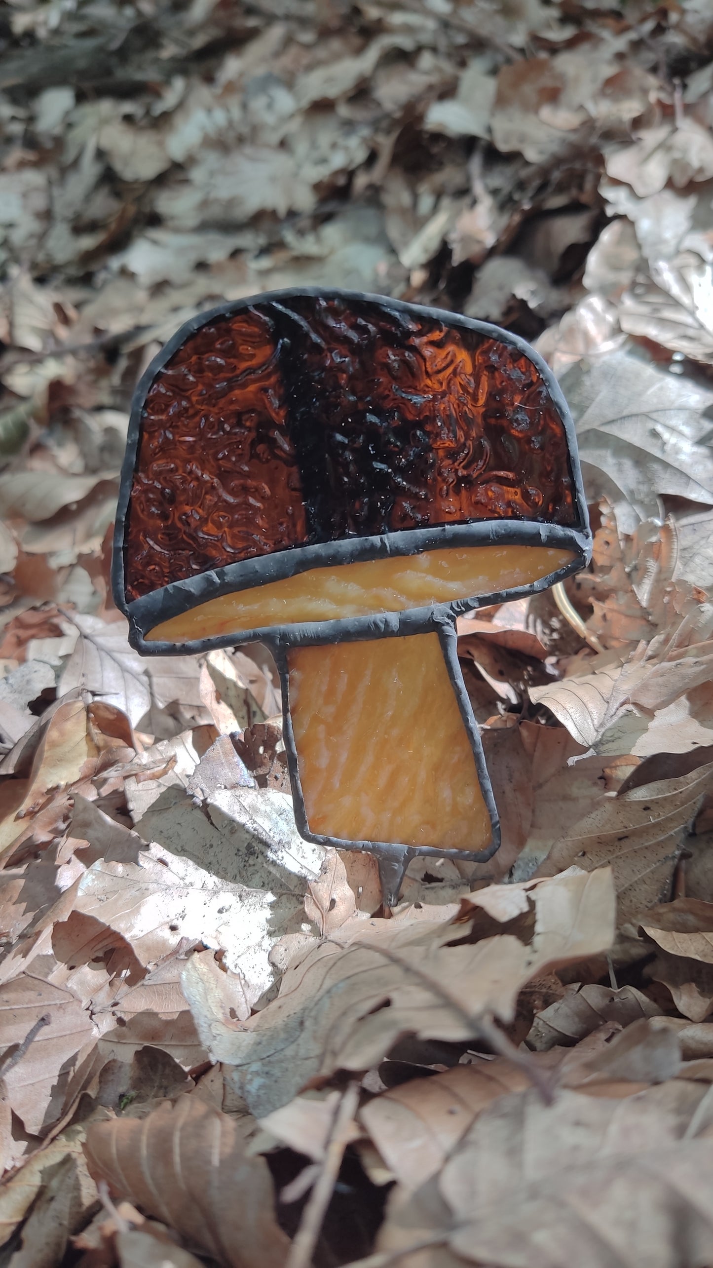 Boletus-Mushroom plant decoration