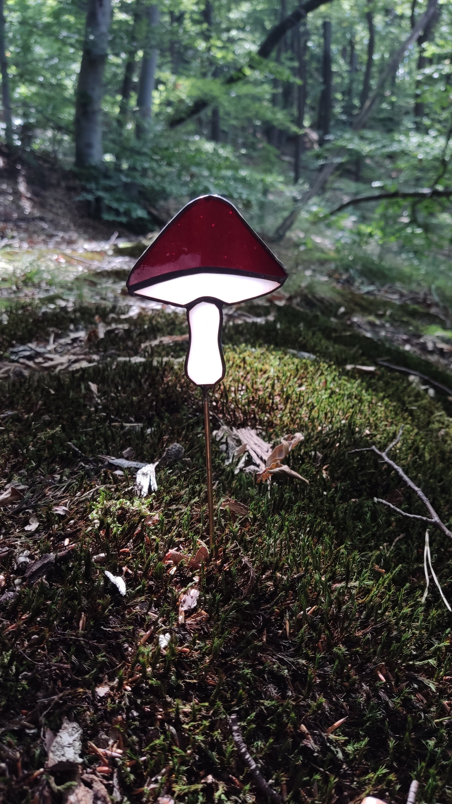 Mushroom plant decoration