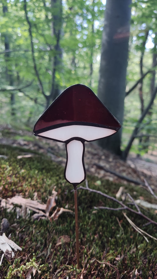 Mushroom plant decoration