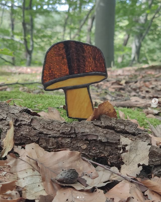 Boletus-Mushroom plant decoration